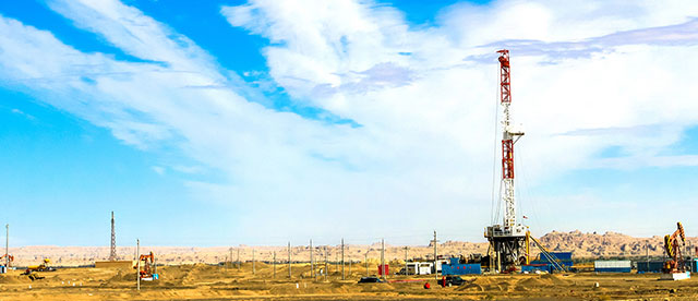 威馬產品 移動端